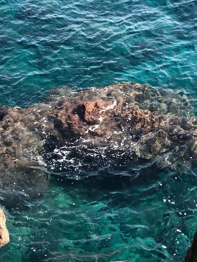 Maison d'hôtes Le Tre Meraviglie A 200 M Dal Mare